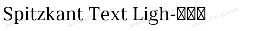 Spitzkant Text Ligh字体转换 Spitzkant Text Ligh字体转换